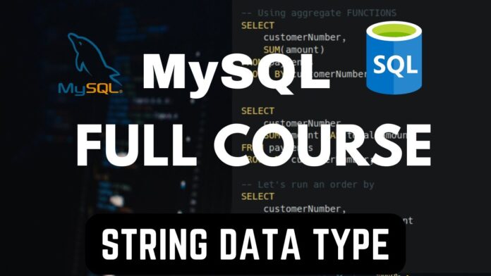 MySQL Text Data Type